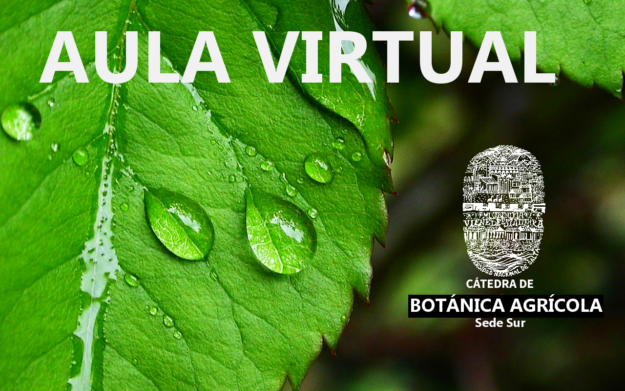 Aula Virtual Botánica Agrícola